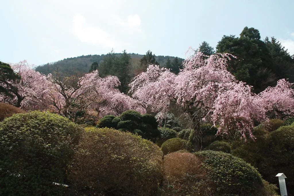 Ryokan Hotel Hakone Kowakien Miyamafurin