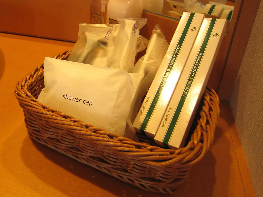 Hotel Hakone Kowakien Miyamafurin 3*,  Japon