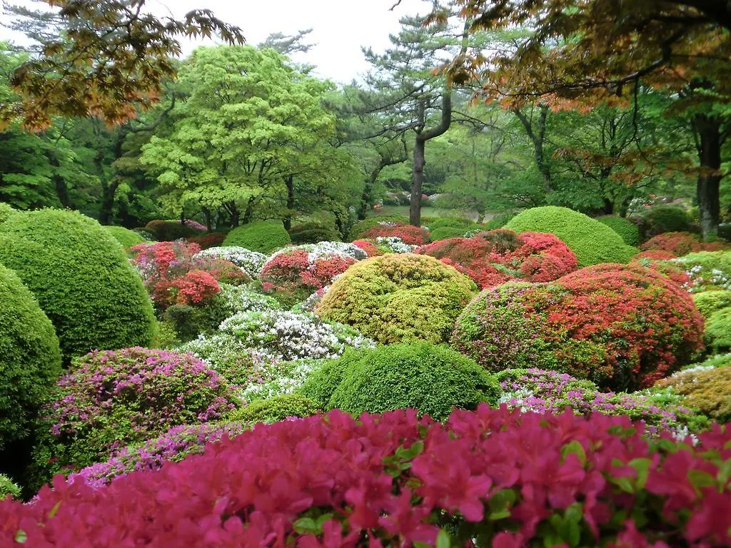 Hakone Kowakien Miyamafurin Hotel 3*,